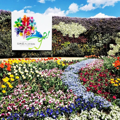 花フェスタ.JPG