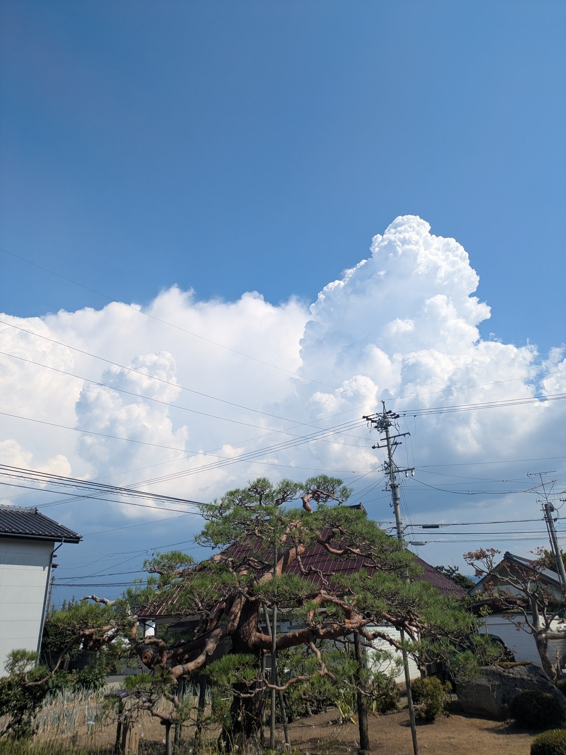 20250801写真.jpg