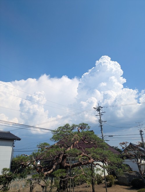 20250801写真2.jpg