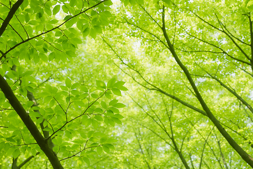 20260615お知らせ写真.png